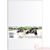 Картон білосніжний А2, 10 аркушів КА2010Е