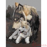 Картина за номерами Тварини "Вовча ніжність" 30*40см КНО4385