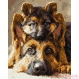 Картина за номерами. Тварини "Разом завжди",40*50см. КНО6944