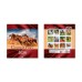 Календар настінний перекидний 2026 Квадрат 200х2220мм, УКР., Экспресс Удачи